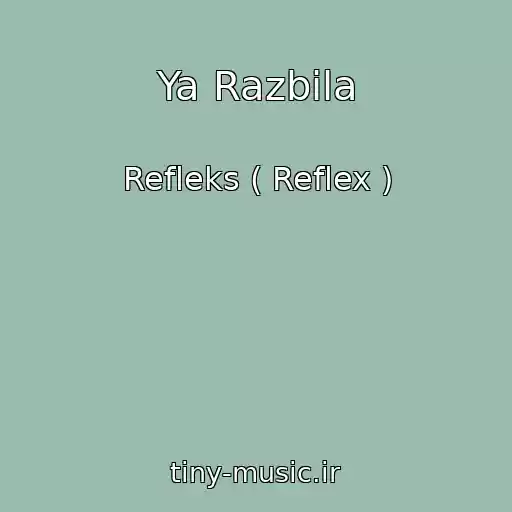 کاور آهنگ Ya Razbila از Refleks ( Reflex )
