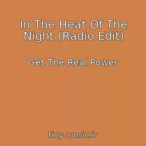 کاور آهنگ In The Heat Of The Night (Radio Edit) از Get The Real Power