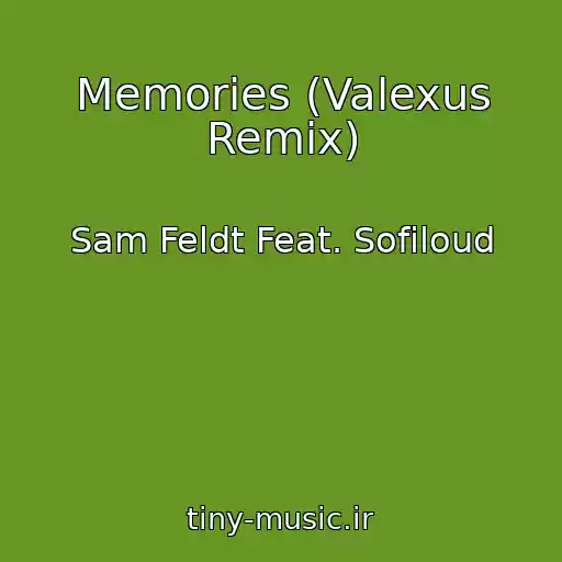 کاور آهنگ Memories (Valexus Remix) از Sam Feldt Feat. Sofiloud