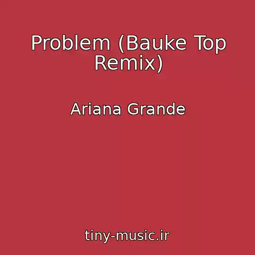 کاور آهنگ Problem (Bauke Top Remix) از Ariana Grande