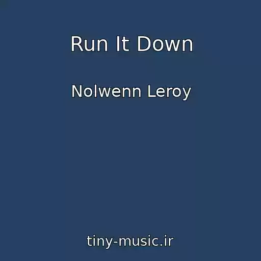 کاور آهنگ Run It Down از Nolwenn Leroy
