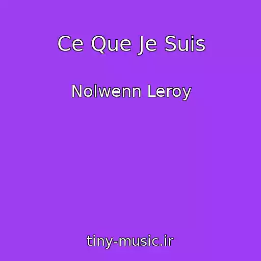 کاور آهنگ Ce Que Je Suis از Nolwenn Leroy