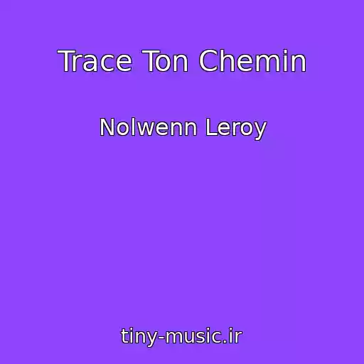 کاور آهنگ Trace Ton Chemin از Nolwenn Leroy