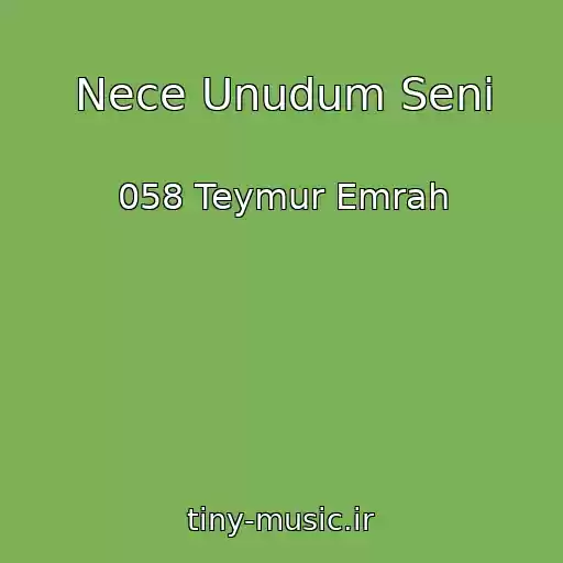 کاور آهنگ Nece Unudum Seni از 058 Teymur Emrah