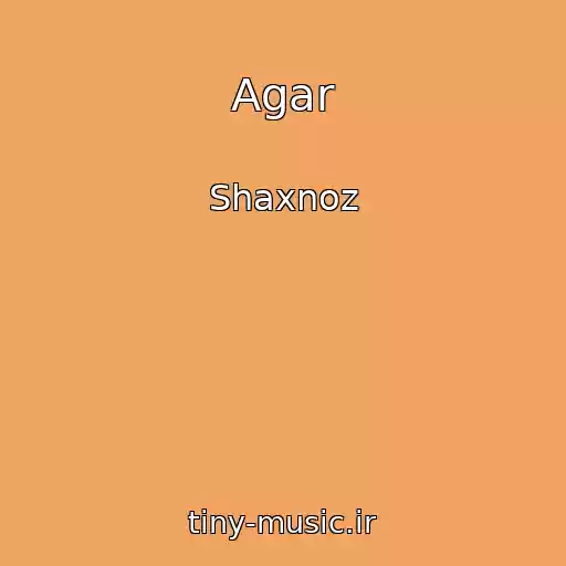 کاور آهنگ Agar از Shaxnoz