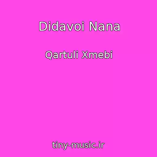 کاور آهنگ Didavoi Nana از Qartuli Xmebi