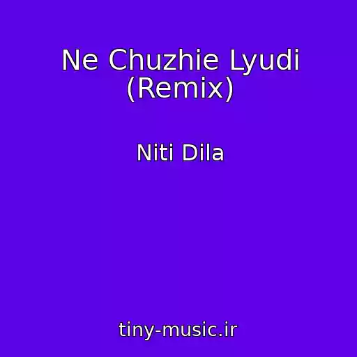 کاور آهنگ Ne Chuzhie Lyudi (Remix) از Niti Dila