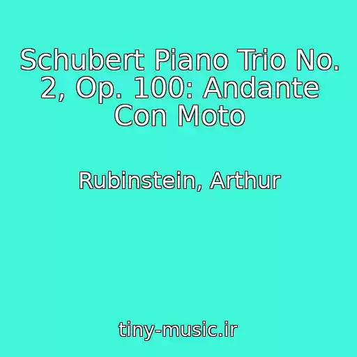 کاور آهنگ Schubert Piano Trio No. 2, Op. 100: Andante Con Moto از Rubinstein, Arthur