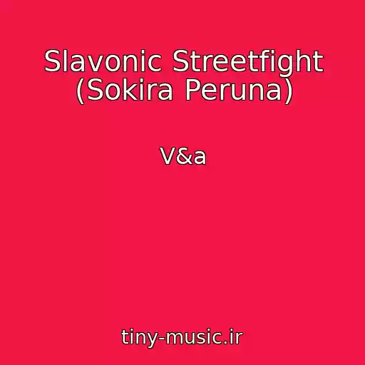 کاور آهنگ Slavonic Streetfight (Sokira Peruna) از V&a