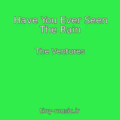 کاور آهنگ Have You Ever Seen The Rain از The Ventures