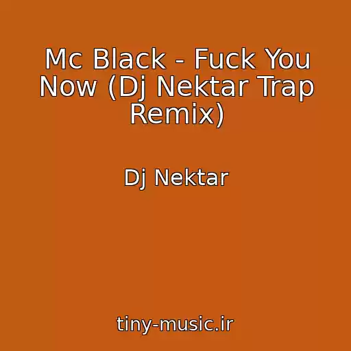 کاور آهنگ Mc Black - Fuck You Now (Dj Nektar Trap Remix) از Dj Nektar