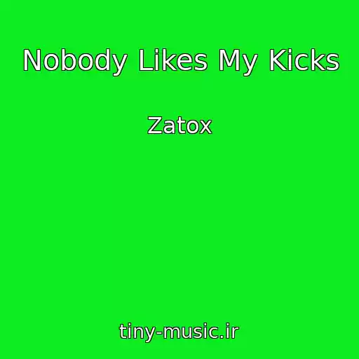کاور آهنگ Nobody Likes My Kicks از Zatox