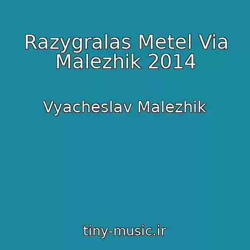 کاور آهنگ Razygralas Metel Via Malezhik 2014 از Vyacheslav Malezhik