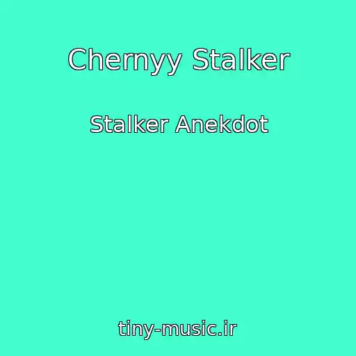 کاور آهنگ Chernyy Stalker از Stalker Anekdot