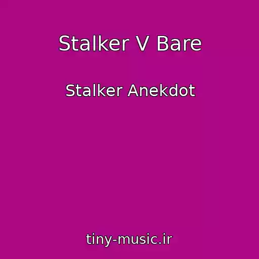 کاور آهنگ Stalker V Bare از Stalker Anekdot