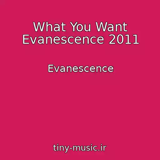 کاور آهنگ What You Want Evanescence 2011 از Evanescence