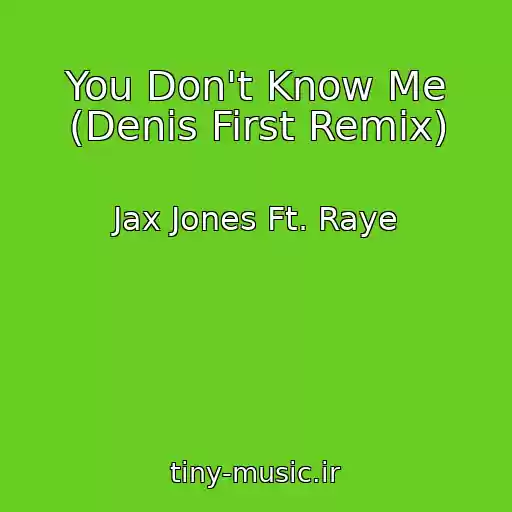 کاور آهنگ You Don't Know Me (Denis First Remix) از Jax Jones Ft. Raye