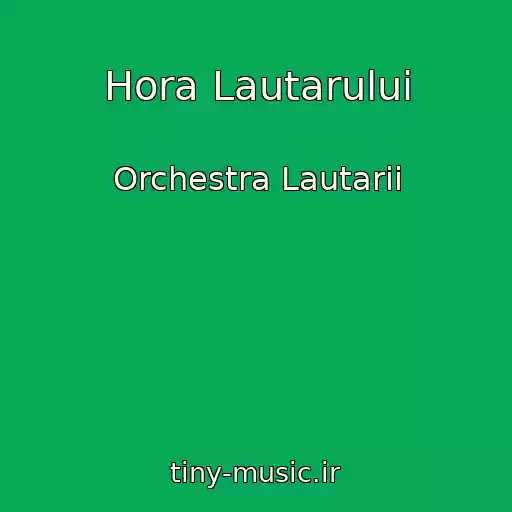 کاور آهنگ Hora Lautarului از Orchestra Lautarii