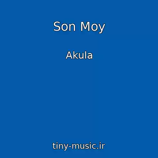کاور آهنگ Son Moy از Akula