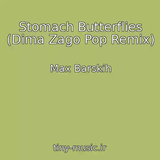کاور آهنگ Stomach Butterflies (Dima Zago Pop Remix) از Max Barskih