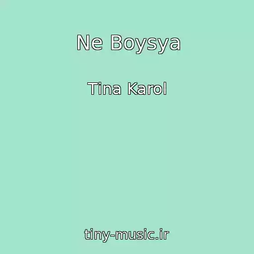 کاور آهنگ Ne Boysya از Tіna Karol