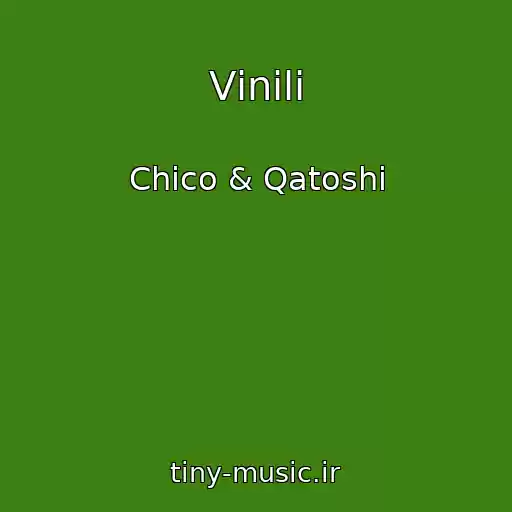 کاور آهنگ Vіnіli از Chico & Qatoshi
