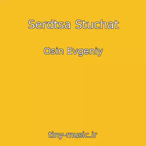 کاور آهنگ Serdtsa Stuchat از Osin Evgeniy