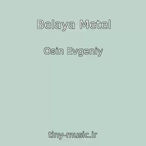 کاور آهنگ Belaya Metel از Osin Evgeniy