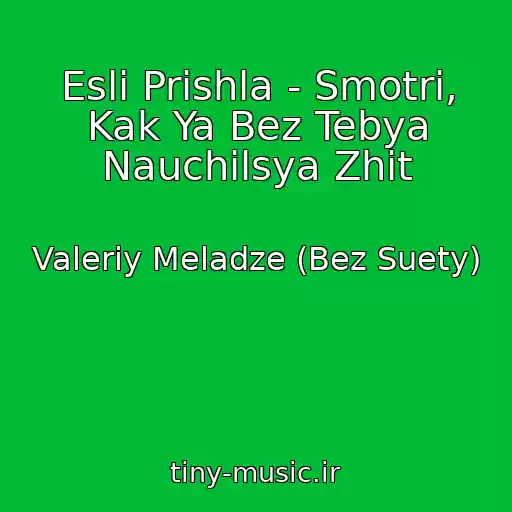 کاور آهنگ Esli Prishla - Smotri, Kak Ya Bez Tebya Nauchilsya Zhit از Valeriy Meladze (Bez Suety)
