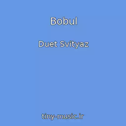 کاور آهنگ Bobul از Duet Svityaz