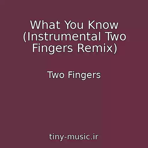 کاور آهنگ What You Know (Instrumental Two Fingers Remix) از Two Fingers