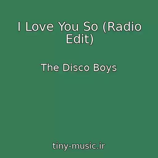 کاور آهنگ I Love You So (Radio Edit) از The Disco Boys