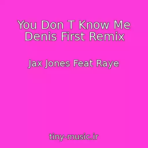 کاور آهنگ You Don T Know Me Denis First Remix از Jax Jones Feat Raye