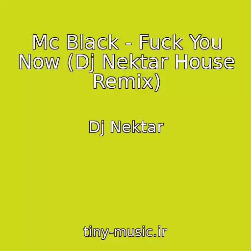کاور آهنگ Mc Black - Fuck You Now (Dj Nektar House Remix) از Dj Nektar