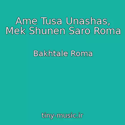 کاور آهنگ Ame Tusa Unashas, Mek Shunen Saro Roma از Bakhtale Roma