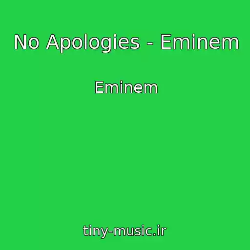 کاور آهنگ No Apologies - Eminem از Eminem