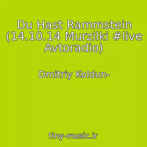 کاور آهنگ Du Hast Rammstein (14.10.14 Murzilki #live Avtoradio) از Dmitriy Koldun-