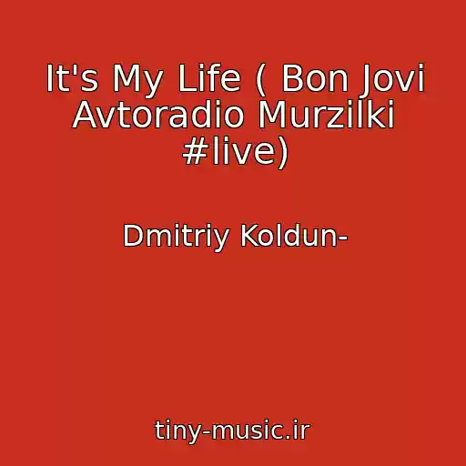 کاور آهنگ It's My Life ( Bon Jovi Avtoradio Murzilki #live) از Dmitriy Koldun-