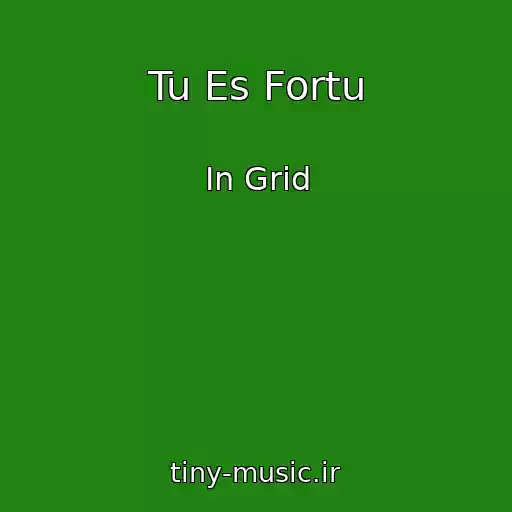 کاور آهنگ Tu Es Fortu از In Grid