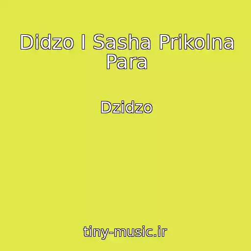 کاور آهنگ Didzo I Sasha Prikolna Para از Dzіdzo