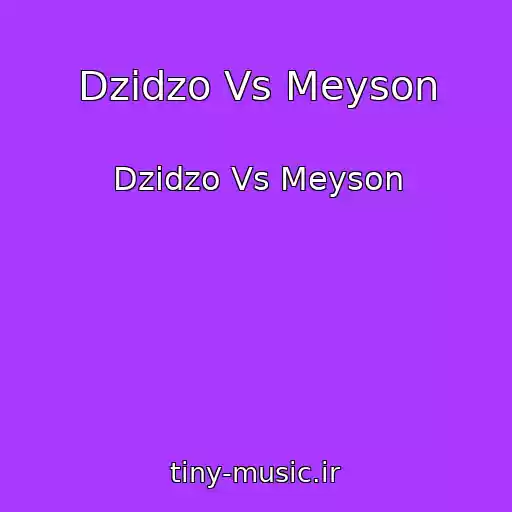 کاور آهنگ Dzіdzo Vs Meyson از Dzіdzo Vs Meyson