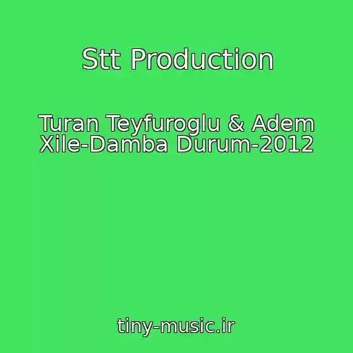 کاور آهنگ Stt Production از Turan Teyfuroglu & Adem Xile-Damba Durum-2012
