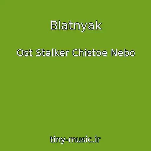 کاور آهنگ Blatnyak از Ost Stalker Chistoe Nebo