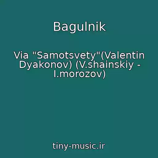 کاور آهنگ Bagulnik از Via "Samotsvety"(Valentin Dyakonov) (V.shainskiy - I.morozov)