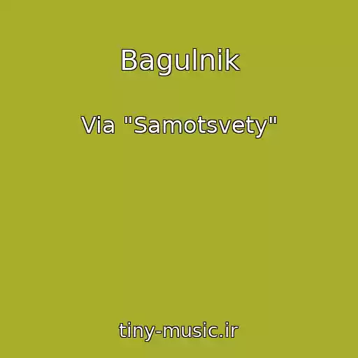 کاور آهنگ Bagulnik از Via "Samotsvety"