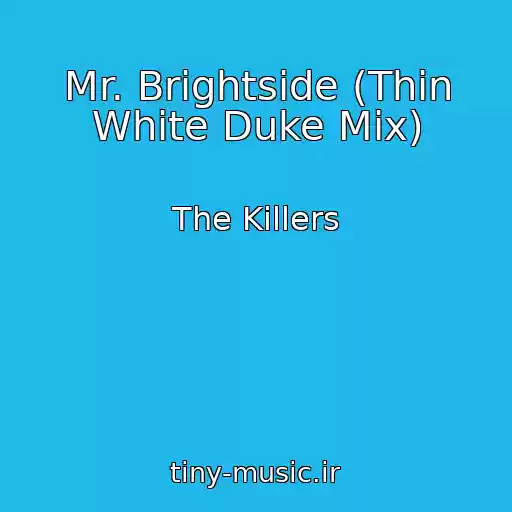 کاور آهنگ Mr. Brightside (Thin White Duke Mix) از The Killers