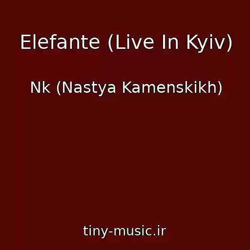 کاور آهنگ Elefante (Live In Kyiv) از Nk (Nastya Kamenskikh)
