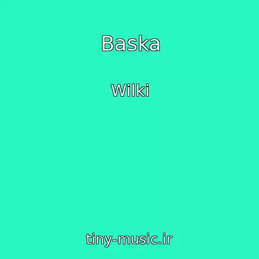کاور آهنگ Baska از Wilki