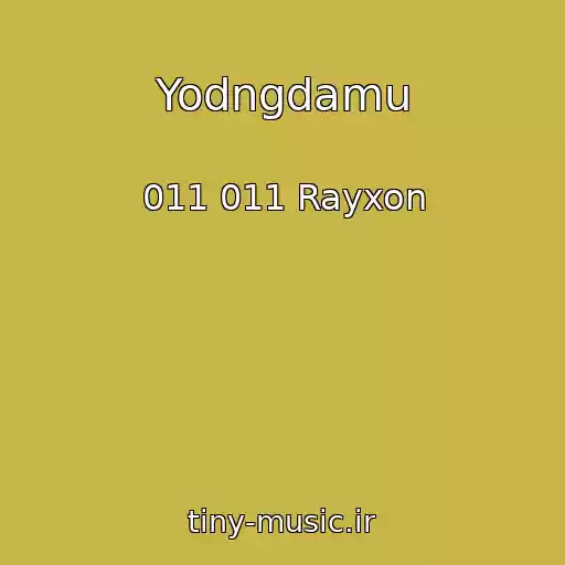 کاور آهنگ Yodngdamu از 011 011 Rayxon