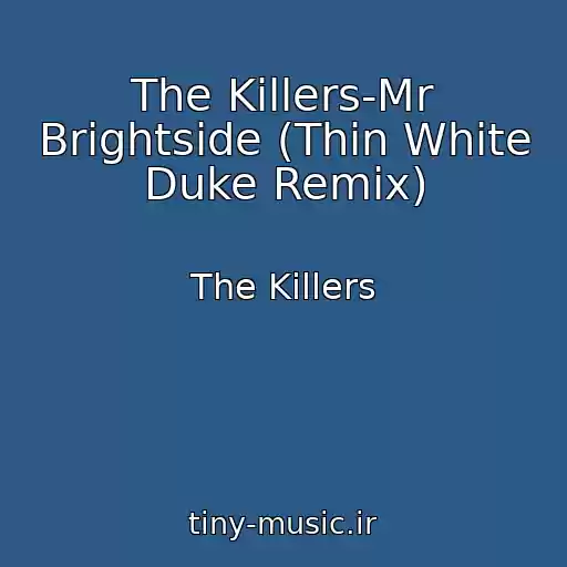 کاور آهنگ The Killers-Mr Brightside (Thin White Duke Remix) از The Killers